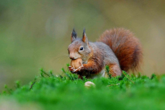 15-11-2014 Fotosessie De Zuurberg