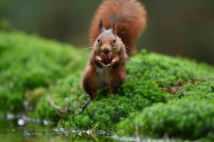 15-11-2014 Fotosessie De Zuurberg