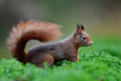 15-11-2014 Fotosessie De Zuurberg