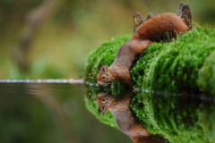 15-11-2014 Fotosessie De Zuurberg