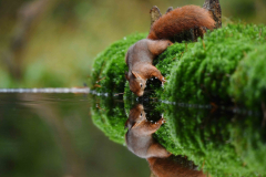 15-11-2014 Fotosessie De Zuurberg