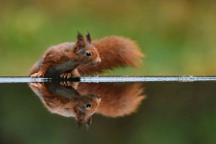 15-11-2014 Fotosessie De Zuurberg