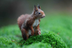 15-11-2014 Fotosessie De Zuurberg