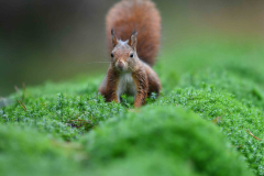 15-11-2014 Fotosessie De Zuurberg