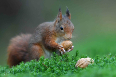 15-11-2014 Fotosessie De Zuurberg