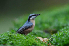 15-11-2014 Fotosessie De Zuurberg