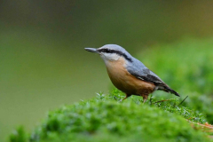 15-11-2014 Fotosessie De Zuurberg