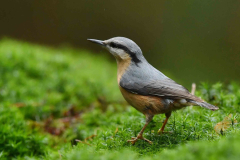 15-11-2014 Fotosessie De Zuurberg