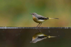 15-11-2014 Fotosessie De Zuurberg