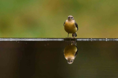 15-11-2014 Fotosessie De Zuurberg