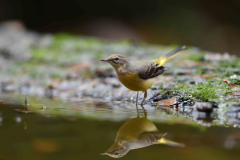 15-11-2014 Fotosessie De Zuurberg