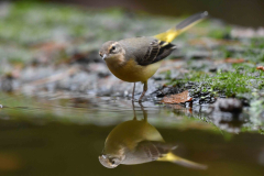 15-11-2014 Fotosessie De Zuurberg