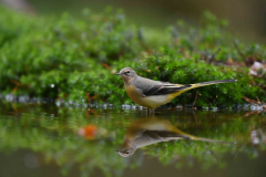 15-11-2014 Fotosessie De Zuurberg