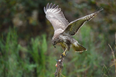 15-11-2014 Fotosessie De Zuurberg