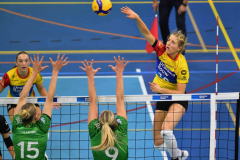 2-11-2024 Draisma Dynamo DS1 VC Zwolle Topvolleybal DS1