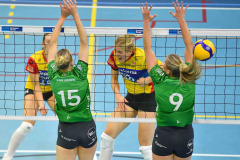 2-11-2024 Draisma Dynamo DS1 VC Zwolle Topvolleybal DS1