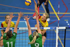 2-11-2024 Draisma Dynamo DS1 VC Zwolle Topvolleybal DS1