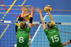 2-11-2024 Draisma Dynamo DS1 VC Zwolle Topvolleybal DS1