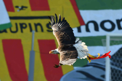 23 april 2026 Go Ahead Eagles AZ Alkmaar eredivisie