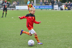 27-9-2025 csv Apeldoorn  Zuidvogels eerste klasse F