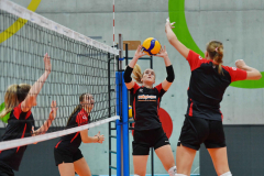 29 oktober 2025 Prostejov VK tegen Draisma Dynamo DS  CEV