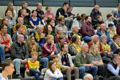 29 maart 2026 Volley Haasrode Leuven