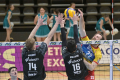 29 maart 2026 Volley Haasrode Leuven