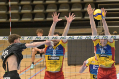 29 maart 2026 Volley Haasrode Leuven