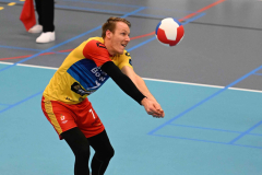 5-10-2024 Simplex SSS Draisma Dynamo