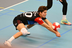 5-10-2024 Simplex SSS Draisma Dynamo